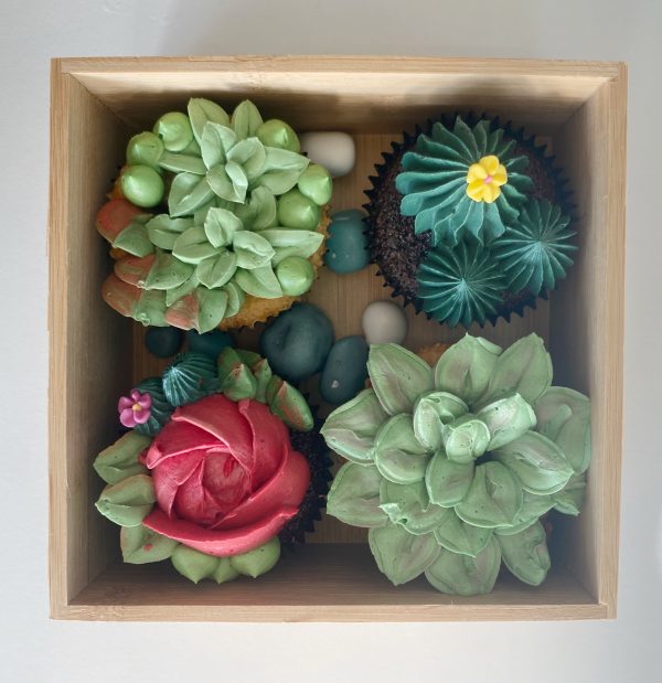 Succulent Gift Boxes