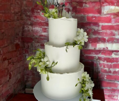 Cake No. 294